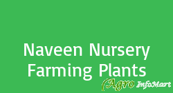 Naveen Nursery Farming Plants