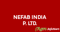 Nefab India P. Ltd. pune india