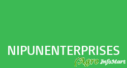 NIPUNENTERPRISES