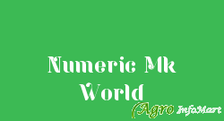 Numeric Mk World delhi india