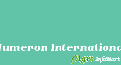 Numeron International