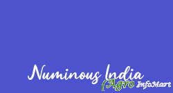 Numinous India