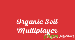 Organic Soil Multiplayer