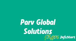 Parv Global Solutions