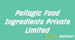 Pellagic Food Ingredients Private Limited bangalore india