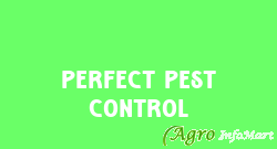 Perfect Pest Control