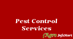 Pest Control Services