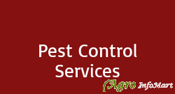 Pest Control Services