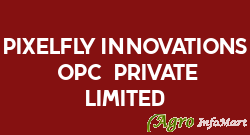 Pixelfly Innovations (OPC) Private Limited