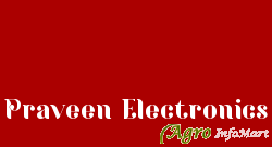 Praveen Electronics delhi india