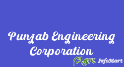 Punjab Engineering Corporation indore india