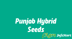 Punjab Hybrid Seeds