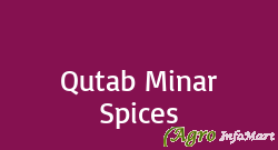 Qutab Minar Spices