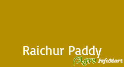 Raichur Paddy raichur india