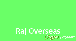 Raj Overseas delhi india