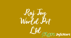 Raj Toy World Pvt Ltd hyderabad india
