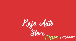 Raja Auto Store moga india