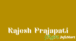 Rajesh Prajapati