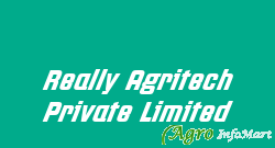 Really Agritech Private Limited thane india