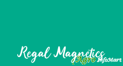 Regal Magnetics ahmedabad india