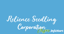 Relience Seedling Corporation