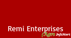 Remi Enterprises