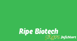 Ripe Biotech