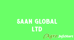 Saan Global Ltd noida india