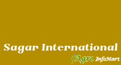 Sagar International