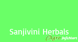 Sanjivini Herbals