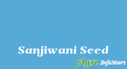 Sanjiwani Seed akola india