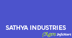Sathya Industries bangalore india