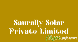 Saurally Solar Private Limited bangalore india