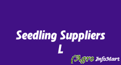 Seedling Suppliers L