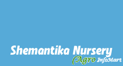 Shemantika Nursery hubli india