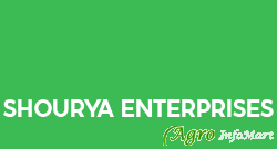 Shourya Enterprises amritsar india