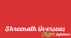 Shreenath Overseas indore india