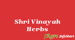 Shri Vinayak Herbs delhi india