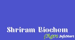 Shriram Biochem delhi india