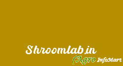 Shroomlab.in  