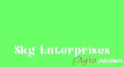 Skg Enterprises