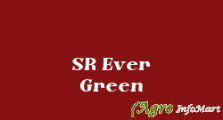 SR Ever Green