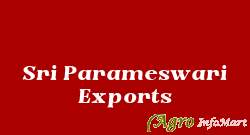 Sri Parameswari Exports