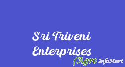 Sri Triveni Enterprises bangalore india