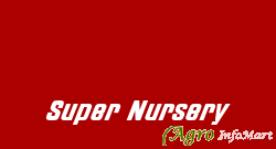 Super Nursery lucknow india