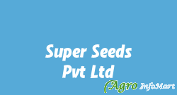 Super Seeds Pvt Ltd ahmedabad india