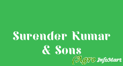 Surender Kumar & Sons delhi india