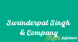 Surinderpal Singh & Company