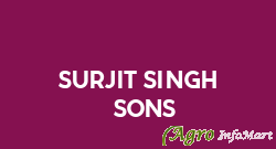 Surjit Singh & Sons