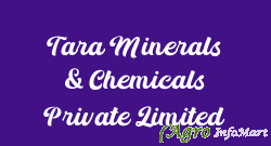 Tara Minerals & Chemicals Private Limited jodhpur india